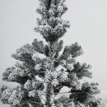 f530479b19663853e25c9a27274b4ccb