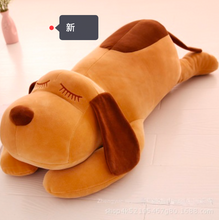 7aef47d3e0d6c171b85165862ff86f49