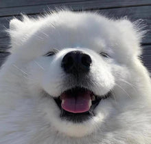 3mm Neoprene Men/Women Long Sleeve Anti-Cold Swimming Suit